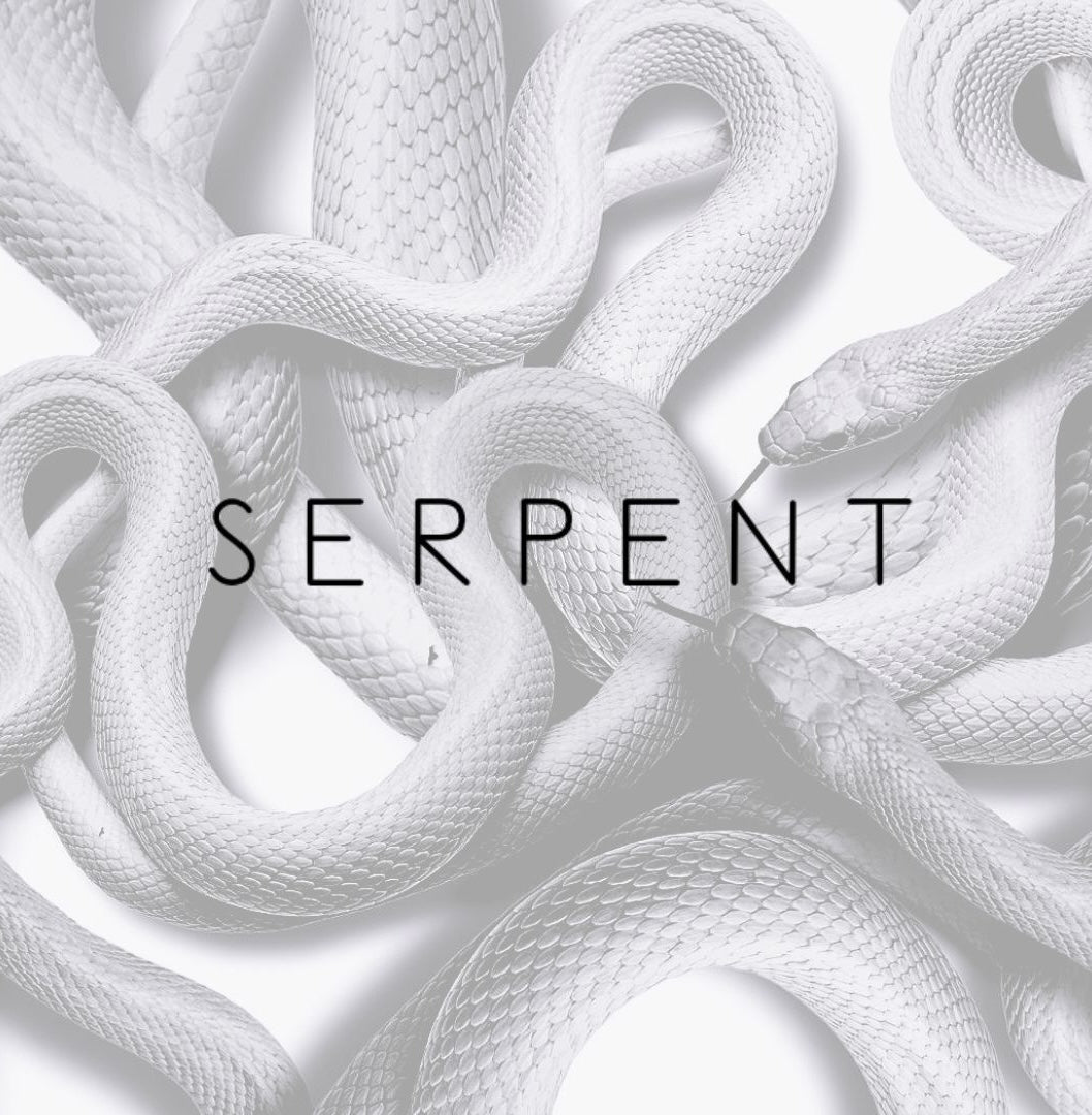 SERPENT Card Holder Wallet | Stylish and Functional Design